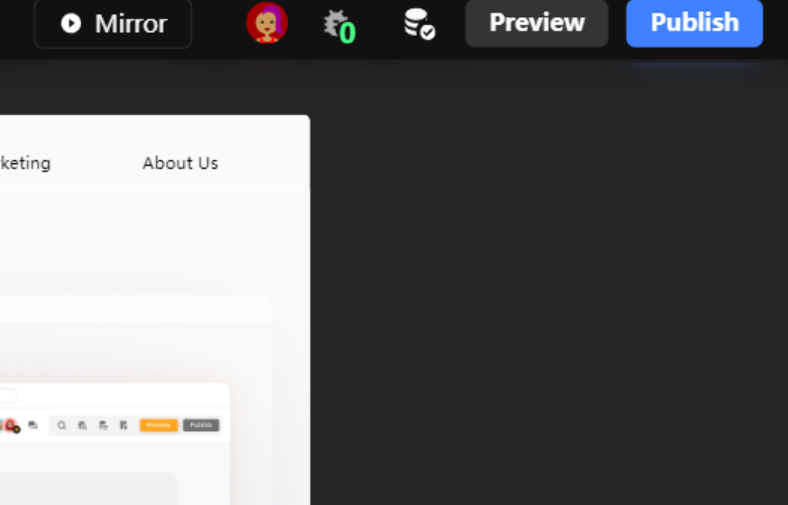 Previewing the website in Momen