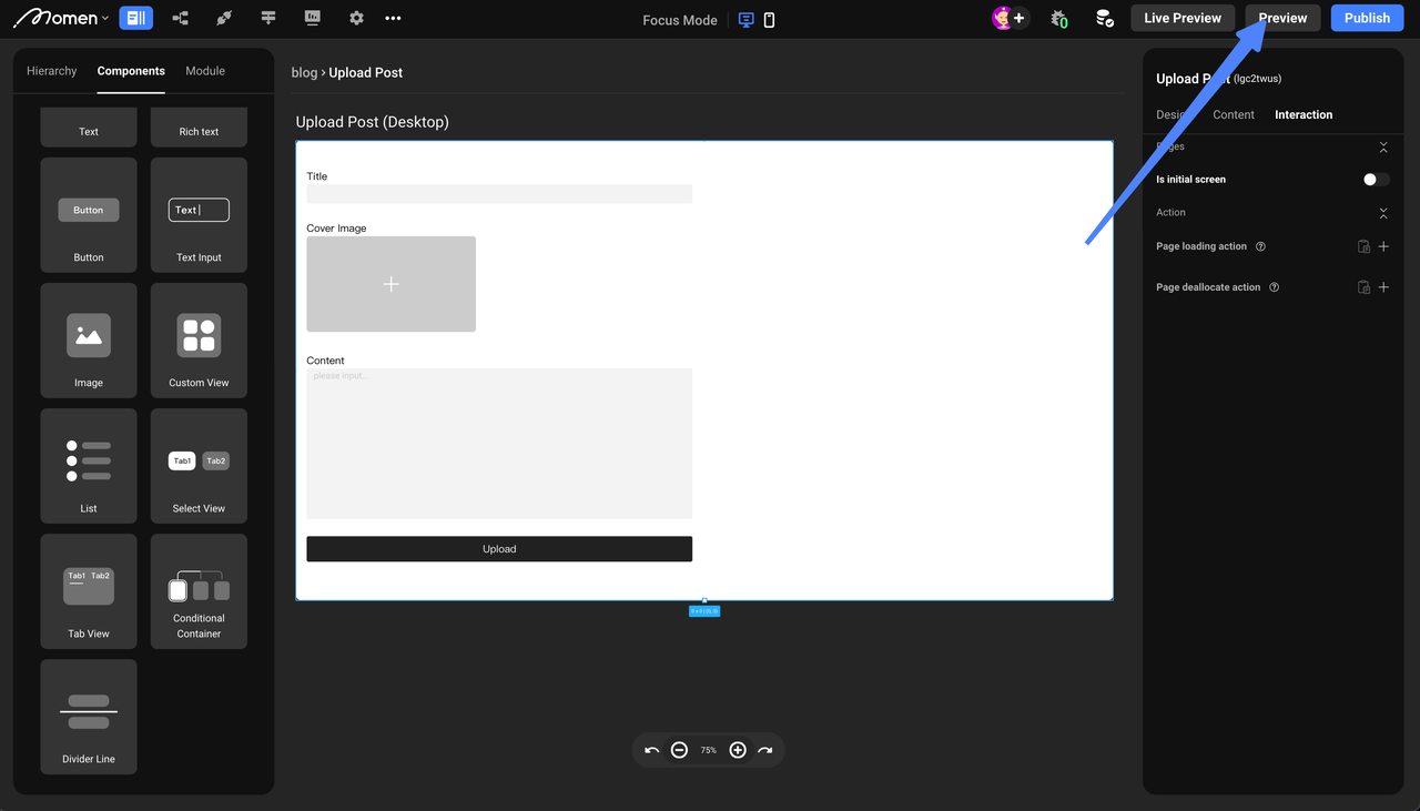 Preview upload post page