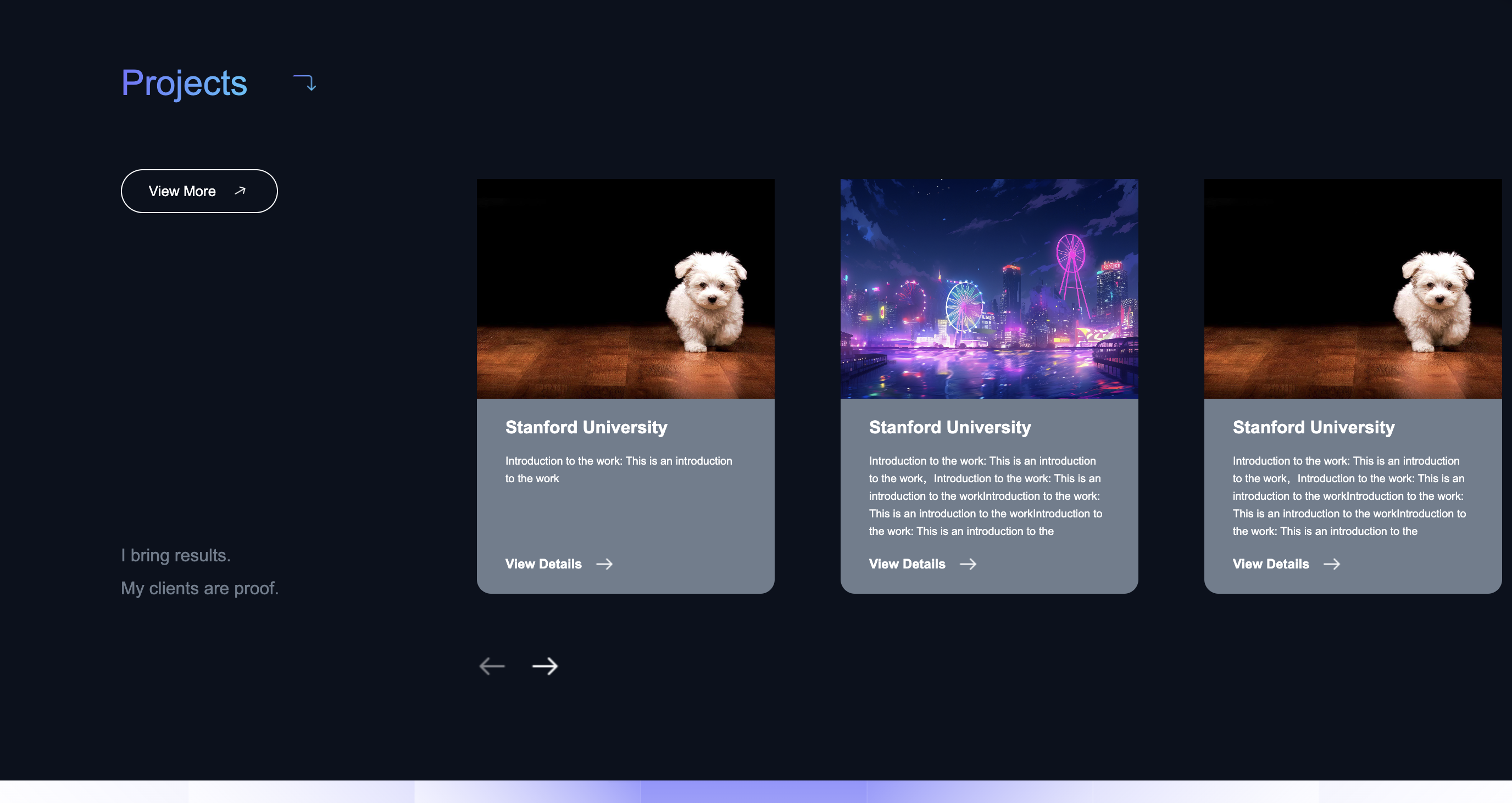 Homepage example 3