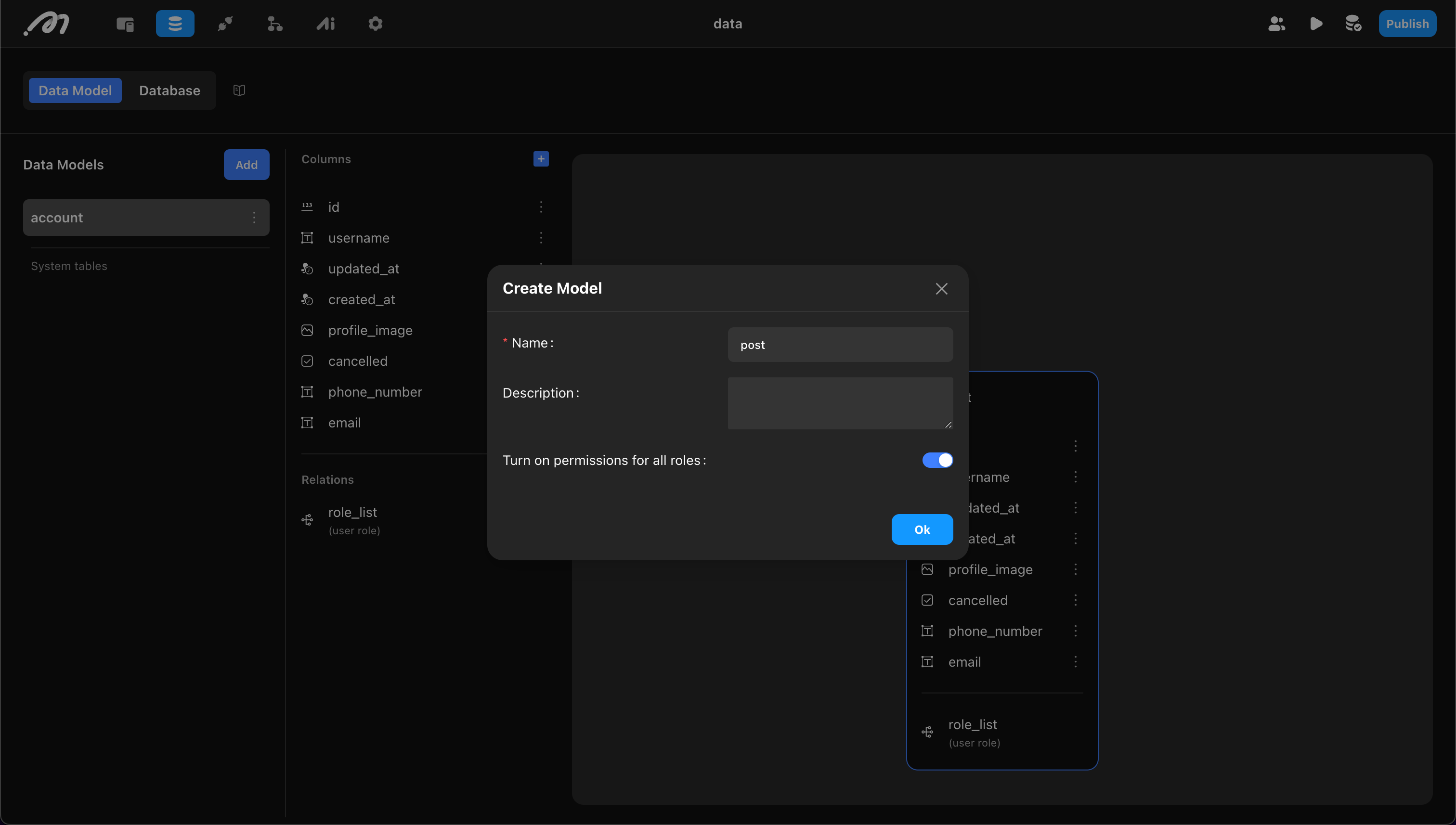 Data model and database entry in Momen