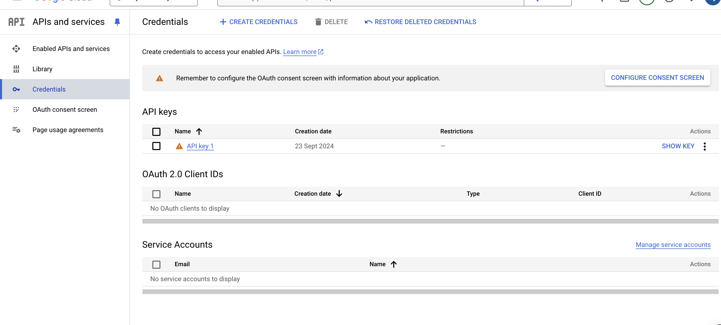 Get Google Maps API key