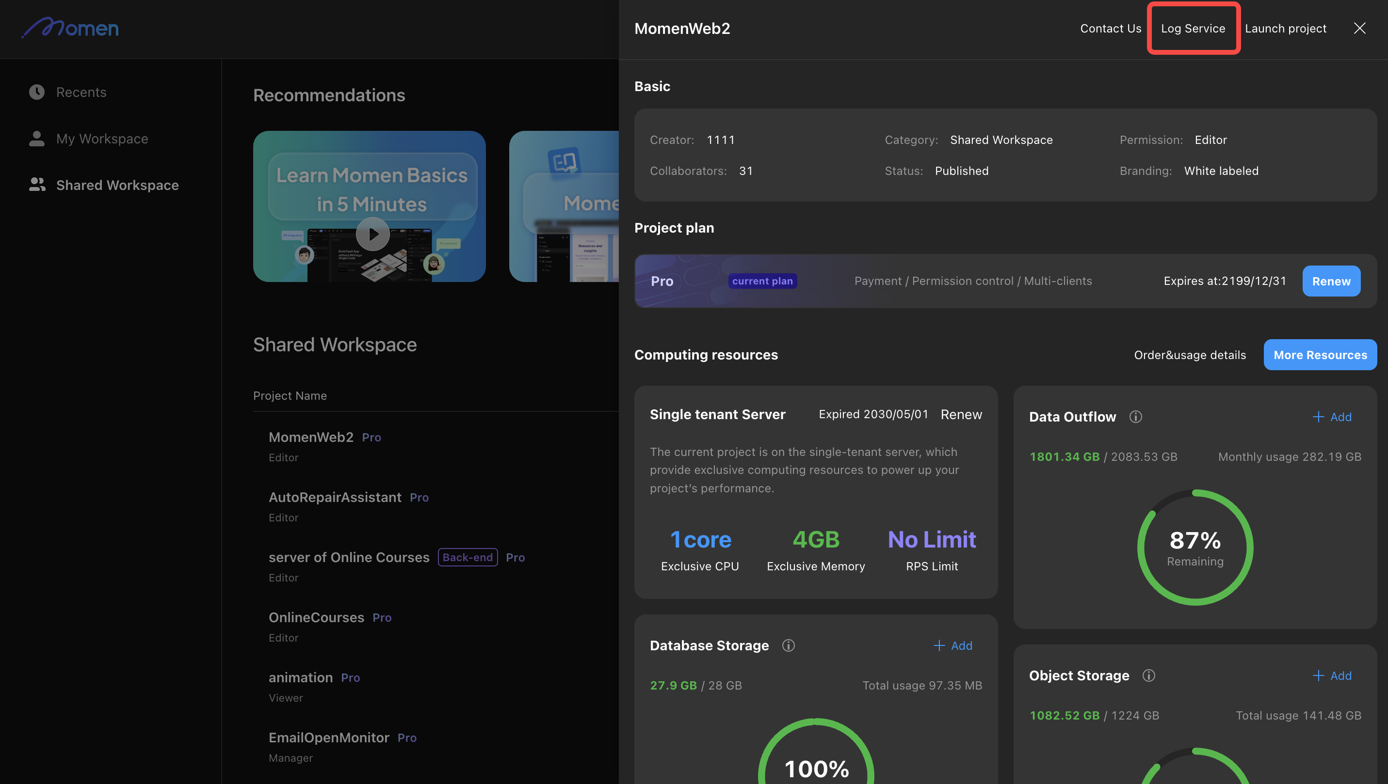 Log Service entry in project details