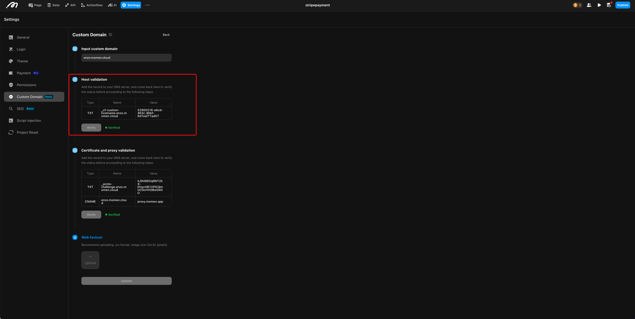 Momen custom domain txt records